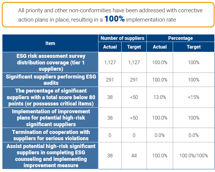 Supplier Risk Identification and Audit Counseling